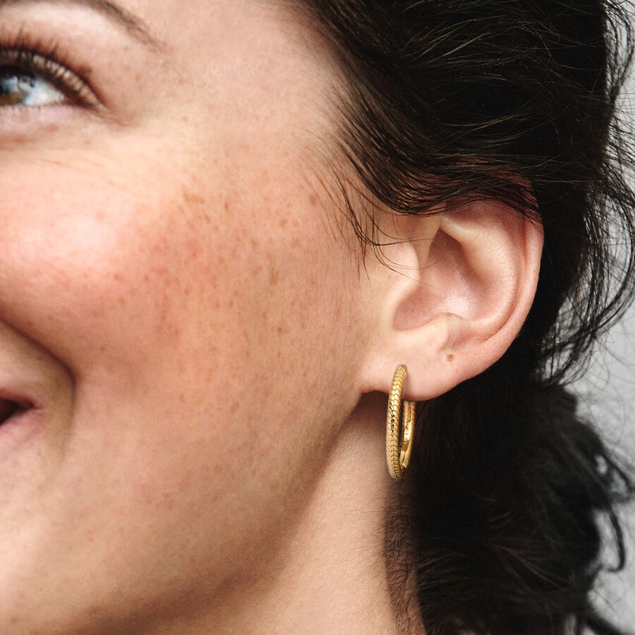 Argolas Pandora Moments